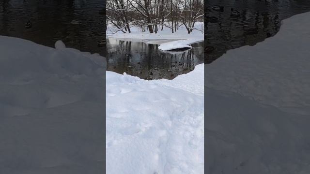 О трансформации смотреть онлайн