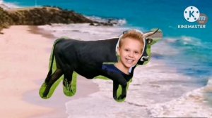 побег от быка add round 2