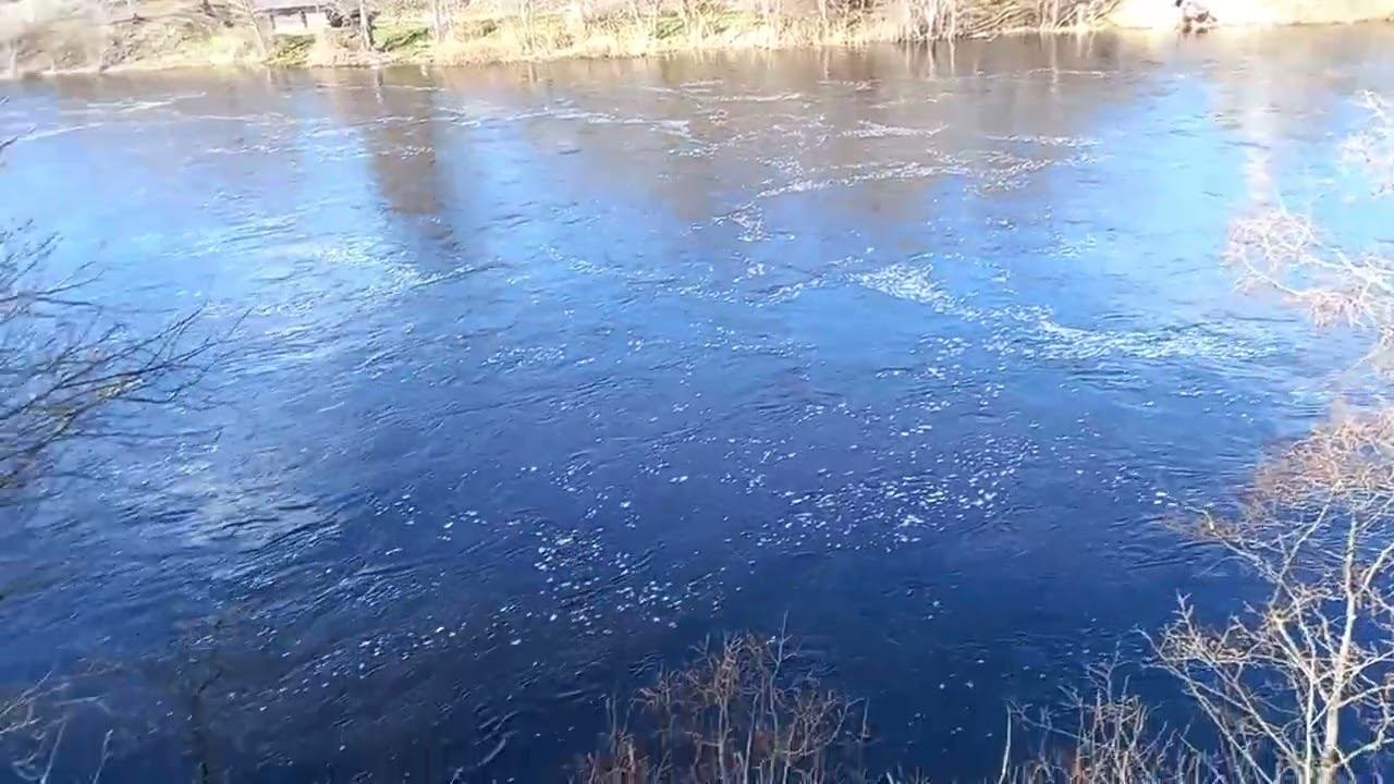 Река Плюсса в черте города Сланцы смотреть онлайн