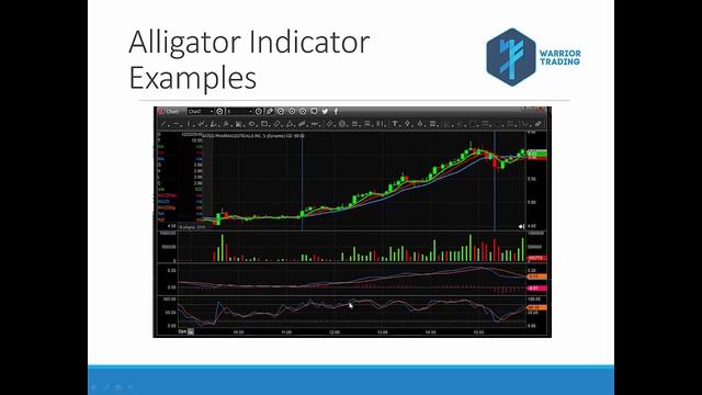 Alligator Indicator Definition | Trading Terminology смотреть онлайн