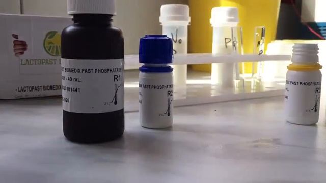 Lactopast Biomedix Fast Phosphatase - Test for the proper detection of milk pasteurization смотреть онлайн