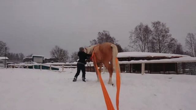 Ватрушка смотреть онлайн