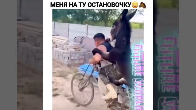 Подвези меня😂🐴 #прикол #лошадь #катает #необычно смотреть онлайн