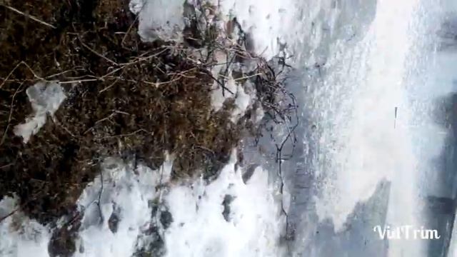 Идём на природу: жарим сало, веселимся. смотреть онлайн