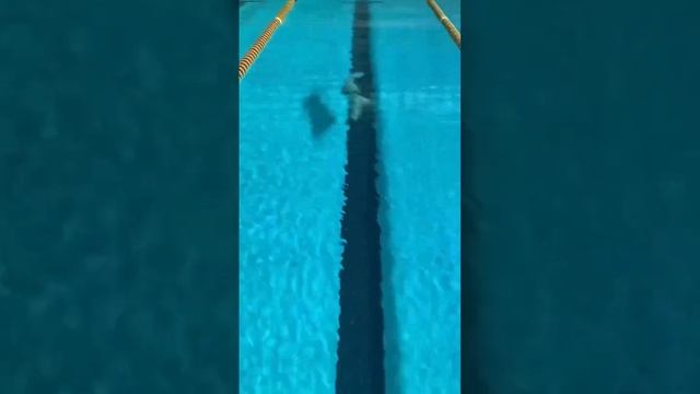 Human Fish. Olympic & World Champ Maggie MacNeil смотреть онлайн