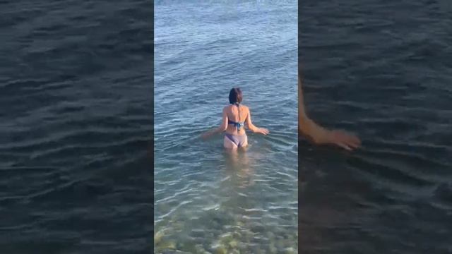 мысхако 27.08 море дельфины #новороссийск #beach #shortsvideo #friends #nature #love #live #like смотреть онлайн