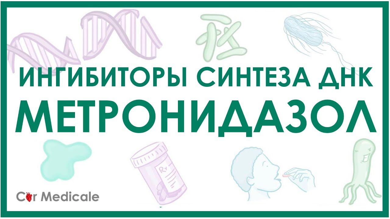 Метронидазол - ингибиторы синтеза ДНК - механизм действия, показания, противопоказания, побочка смотреть онлайн