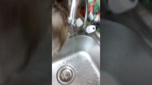 Самая вкусная вода!!!