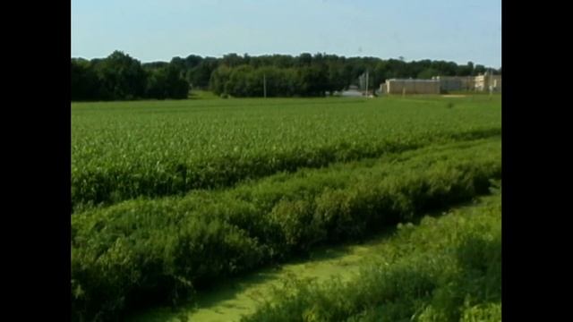 Canon GX1 3CCD Camera Test