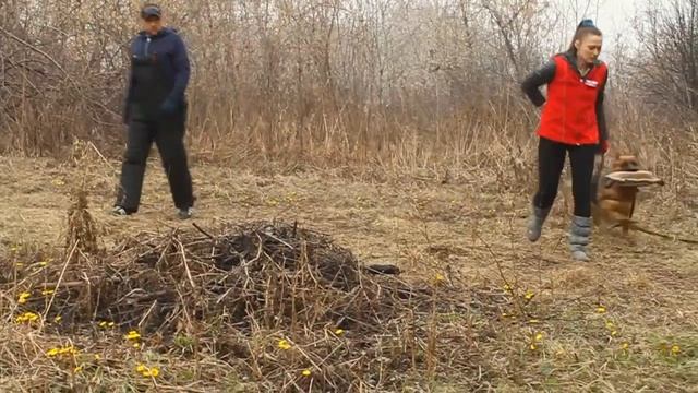 Копия видео "Паппельпарк Ева Лав Престиж занятия ЗКС" смотреть онлайн