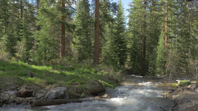 Лесная река смотреть онлайн