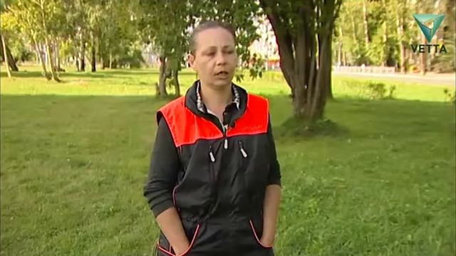 Дрессировка собак смотреть онлайн