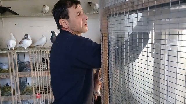 Совет от Гагика 37.Тренировка моих пискунов! смотреть онлайн