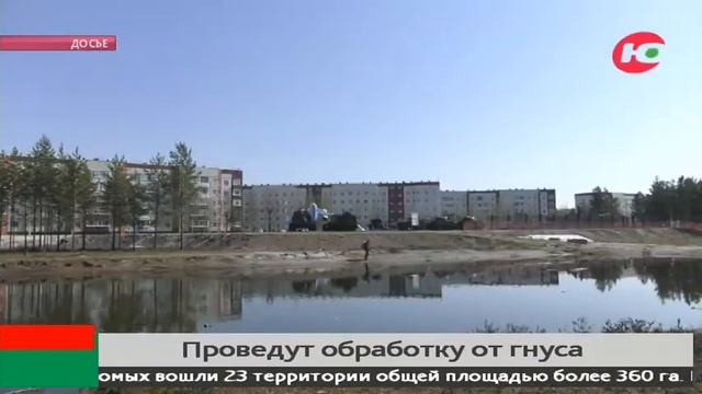 Сургутяне могут выбрать площадки, которые обработают от гнуса смотреть онлайн