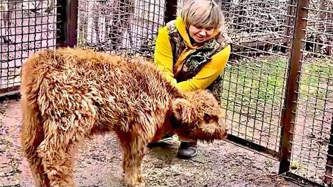Это маленько РЫЖЕЕ ЧУДО так любит Оксану Олеговну, что с удовольствием подходит к ней! смотреть онлайн