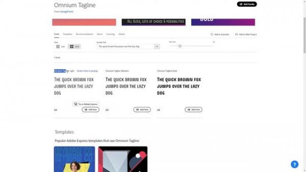 How To Download Adobe Fonts (2024)