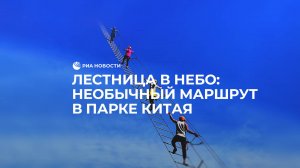 Лестница в небо: необычный маршрут в парке Китая