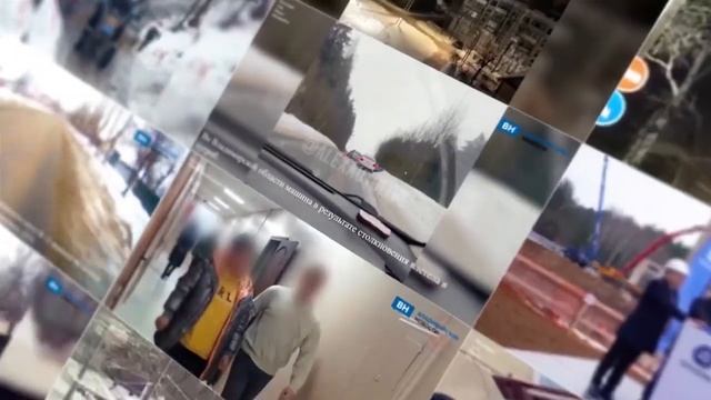 Редкий серый журавль оставил десятки видеосообщений смотреть онлайн