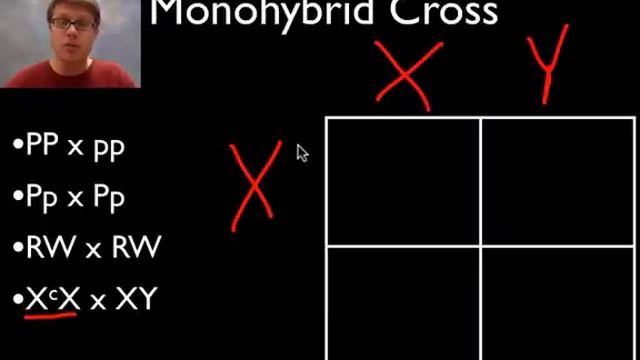 A Beginner's Guide to Punnett Squares смотреть онлайн