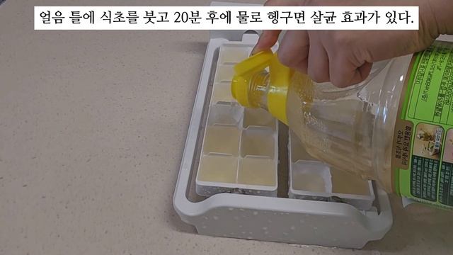 SUB) 냉동실 얼음 틀에 있는 리스테리아균(식중독균)세척하기. 얼음 틀 세척. 얼음 틀 때 제거. 얼음 트레이 세척. 냉동실 얼음 세균 смотреть онлайн