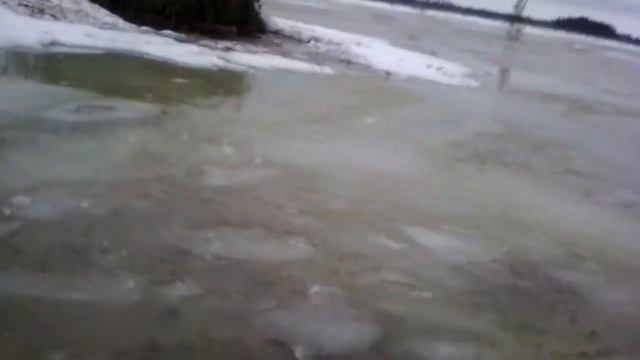 Гусинная охота. Весна 2018г.-Goose-hunting. Spring 2018g. смотреть онлайн