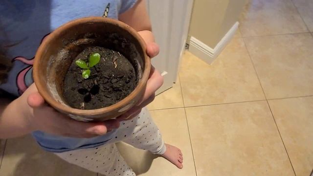 США ВЛОГ Наш день Что мы Готовим и Едим Пробуем новый рецепт смотреть онлайн