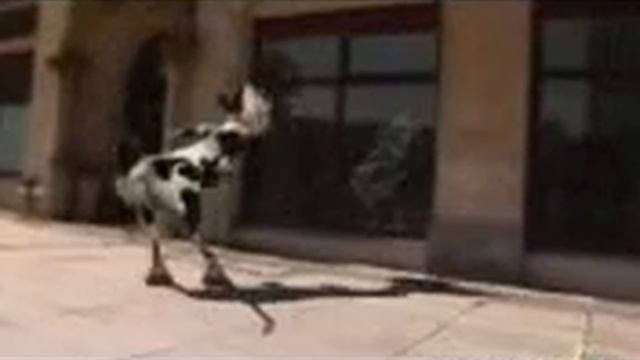 Карова смотреть онлайн