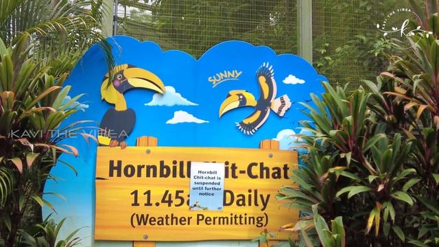 Jurong Bird Park 🦩🦢🦆 Fly into Asia's Largest Bird Paradise with 3500 Colorful Birds🦚🦩🦜4K смотреть онлайн