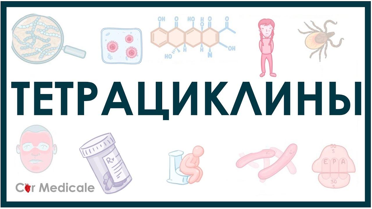 Тетрациклины - препараты, механизм действия, побочные эффекты (ингибиторы синтеза белка) смотреть онлайн