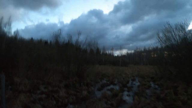 Весенняя охота на вальдшнепа 190424 смотреть онлайн