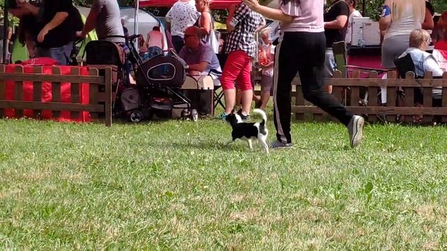 VID 20190706 103621 D2 смотреть онлайн
