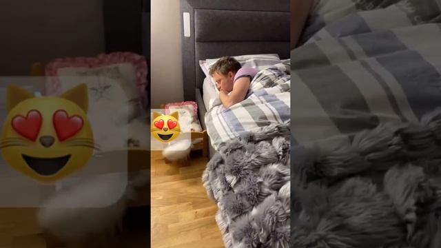 Cute Baby Duck Sleeps in Bed #sweet #duck #duckling #fun #funniest #little #baby #donaldduck #funny смотреть онлайн
