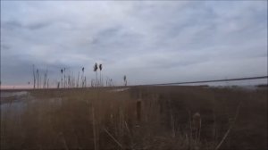 Открытие весенней охоты в Калмыкии 2024