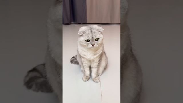 Игра началась… смотреть онлайн