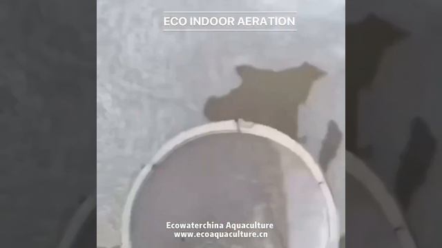 Oxygenate solution for fish farm смотреть онлайн