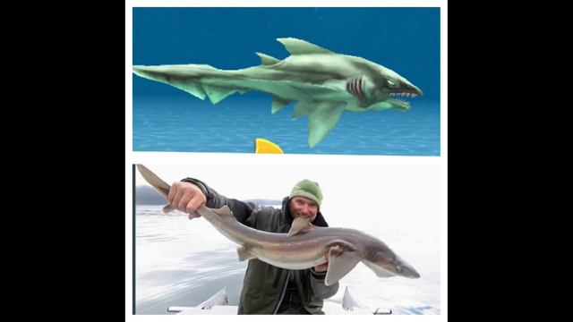 HUNGRY SHARK EVOLUTION in Real Life | Megalodon, Kraken смотреть онлайн