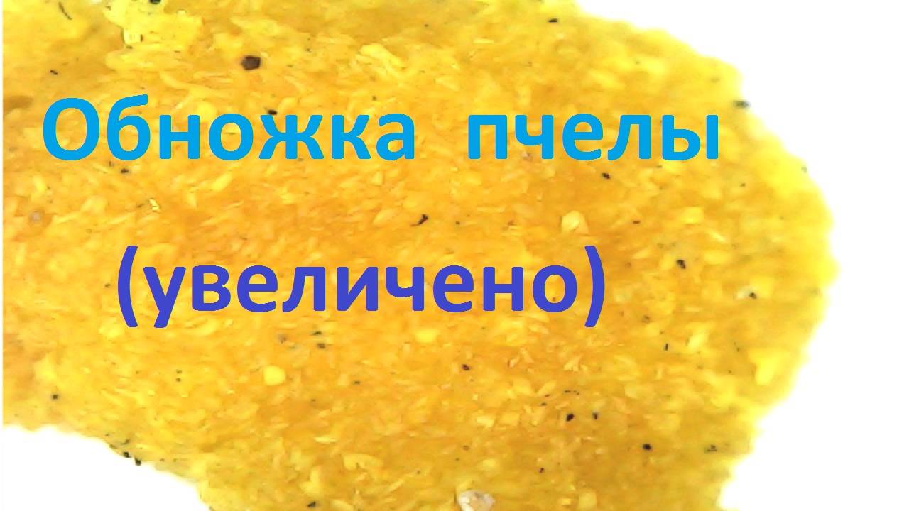 Пчелки понемножку несут обножку смотреть онлайн