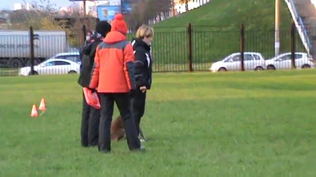 Обидиенс с Чили "вне зачета" октябрь 2016 M2U02282 смотреть онлайн