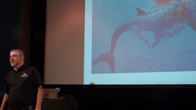 The sharks of Kansas смотреть онлайн