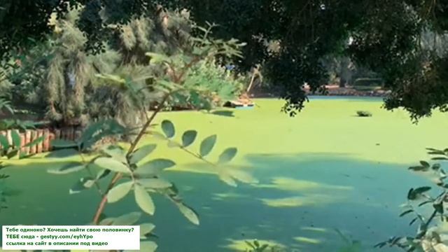 Ведьмина деревня смотреть онлайн