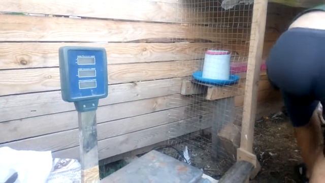 Хайбрид конвертер 3месяца смотреть онлайн