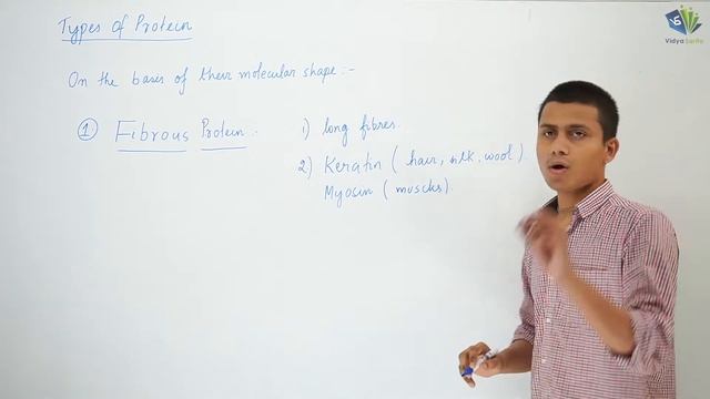 BIOMOLECULES L-19 | Proteins | Peptide Linkage | Deepak sir | Chemistry | Vidyasarita... смотреть онлайн