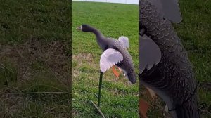 Махокрыл гусь. +79189660508 полностью своë производства