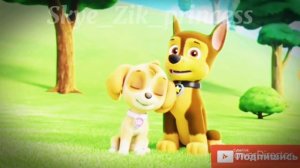 🥺Гонщик и Скай🥺(Влюбилась в друга) ~Для канала Skye Paw patrol~🥺Chase & Skye🥺