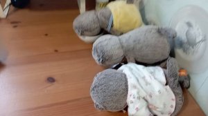 Утро Басят💛