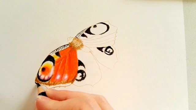 Schmetterling zeichnen 🦋 Tagpfauenauge 🦋 peacock butterfly drawing 🦋 как се рисува пеперуда 🦋 смотреть онлайн