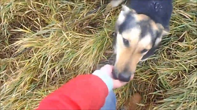 Ким и Шейк смотреть онлайн