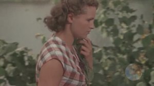 Плывут туманы белые..