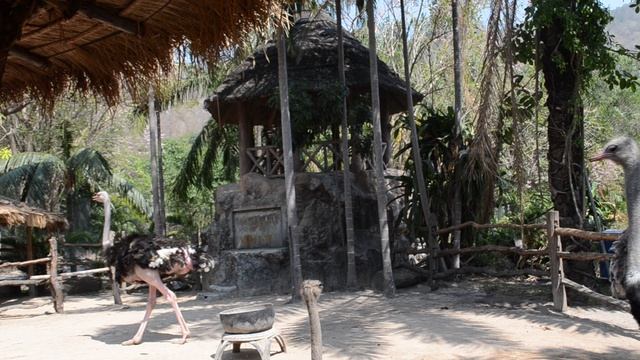 DSC_5962 смотреть онлайн