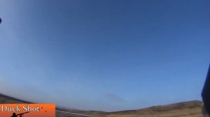 Охота на утку. Охота как она есть!